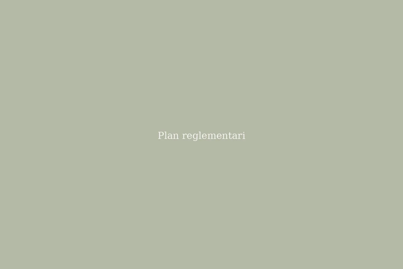 PUZ ansamblu rezidențial, Cristur — imagine 1