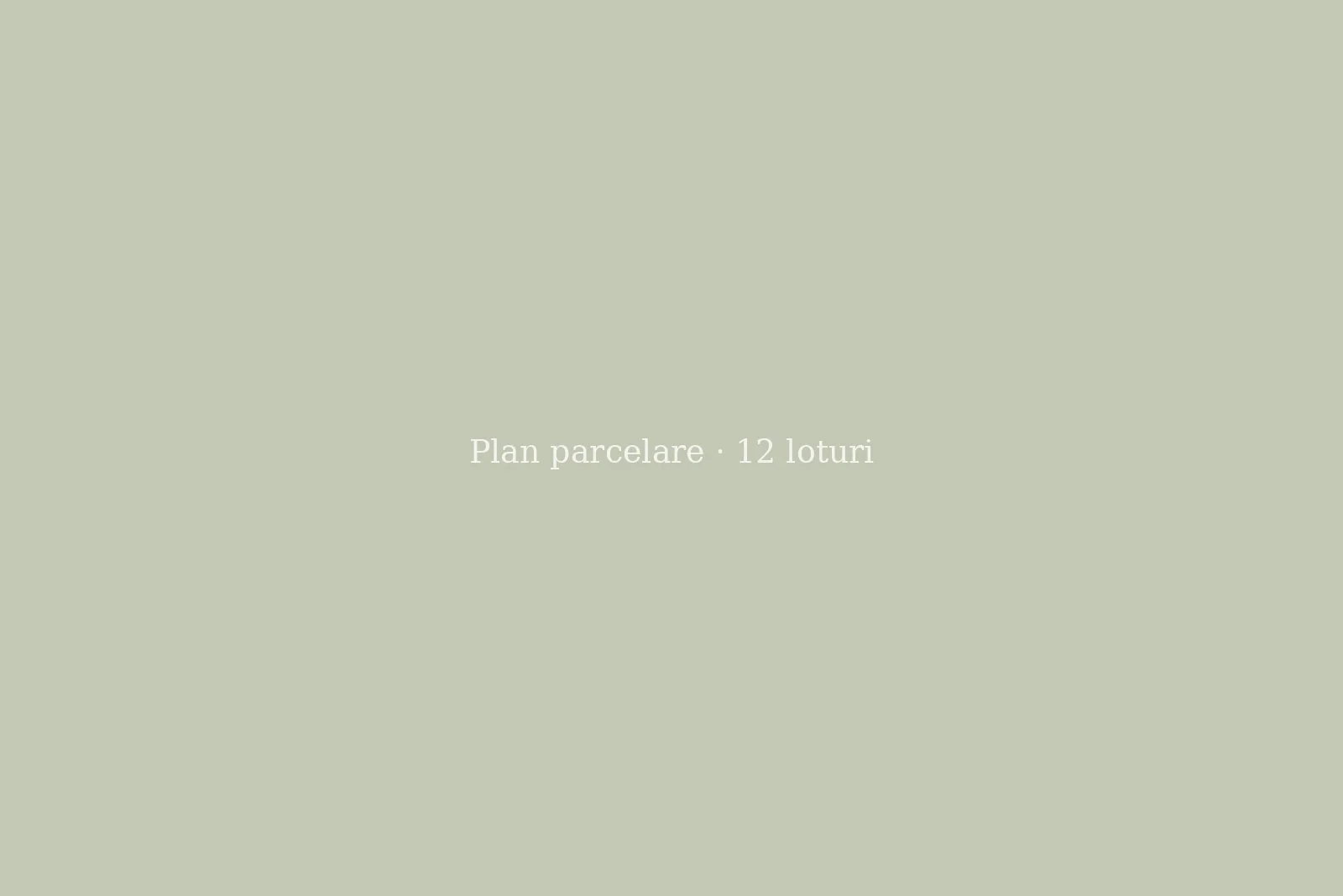 PUZ ansamblu rezidențial, Cristur — imagine 2