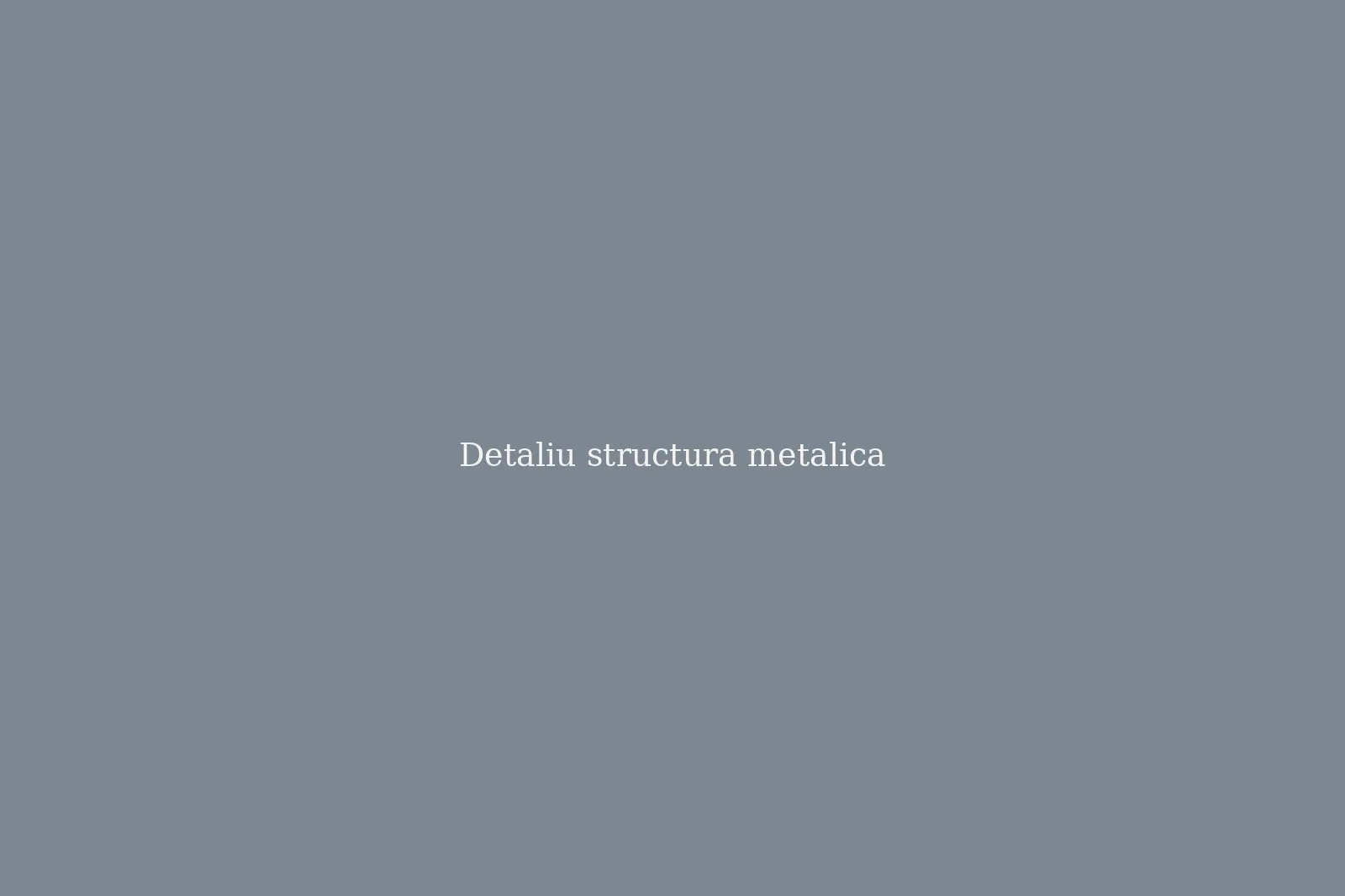 Hală producție și depozitare, Deva — imagine 3
