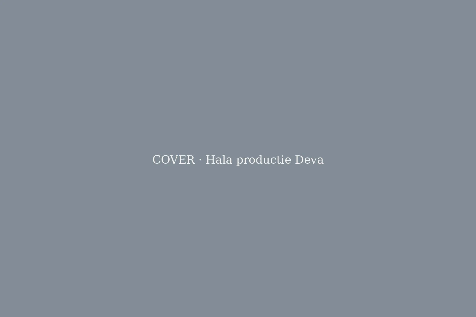 Hală producție și depozitare, Deva