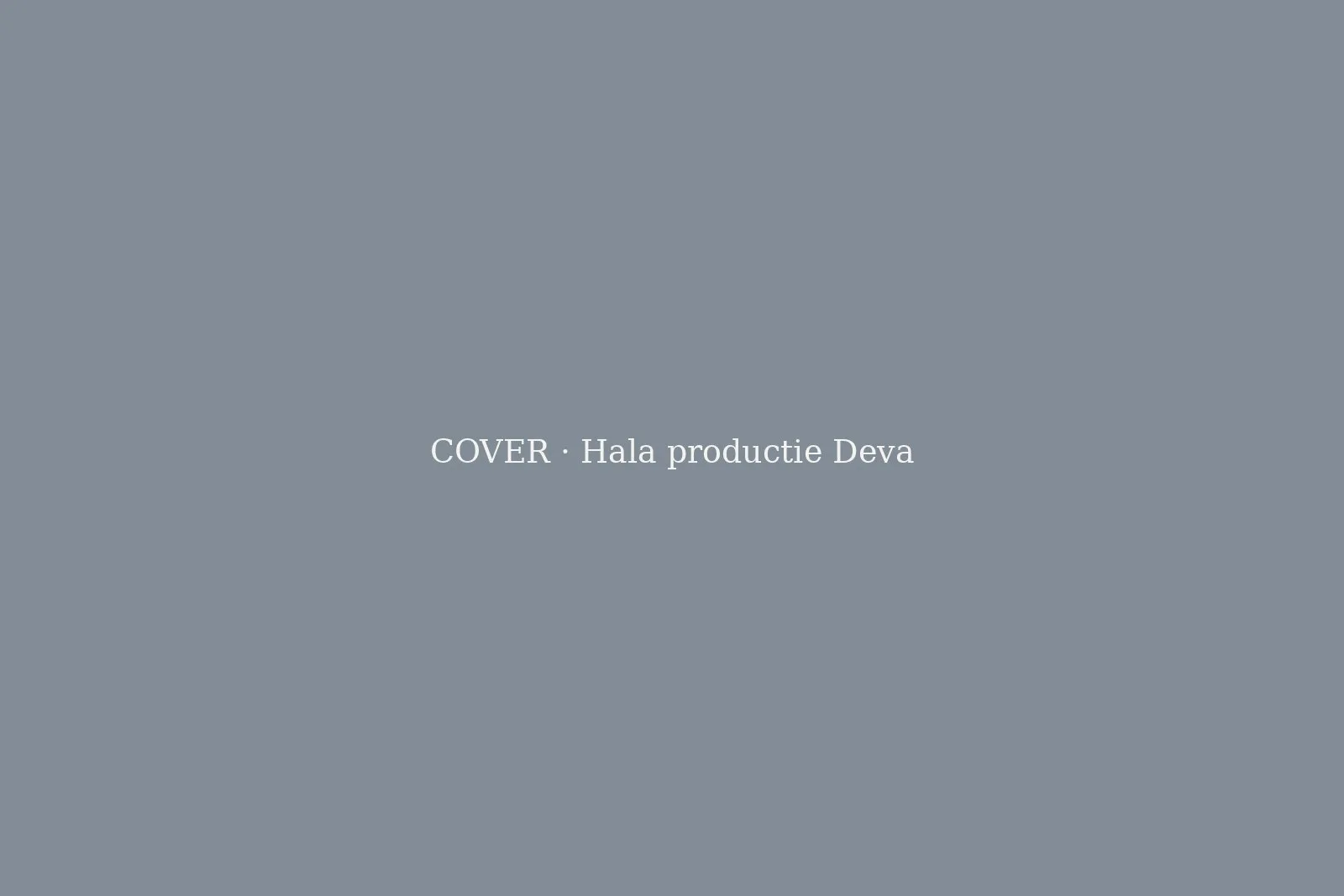 Hală producție și depozitare, Deva