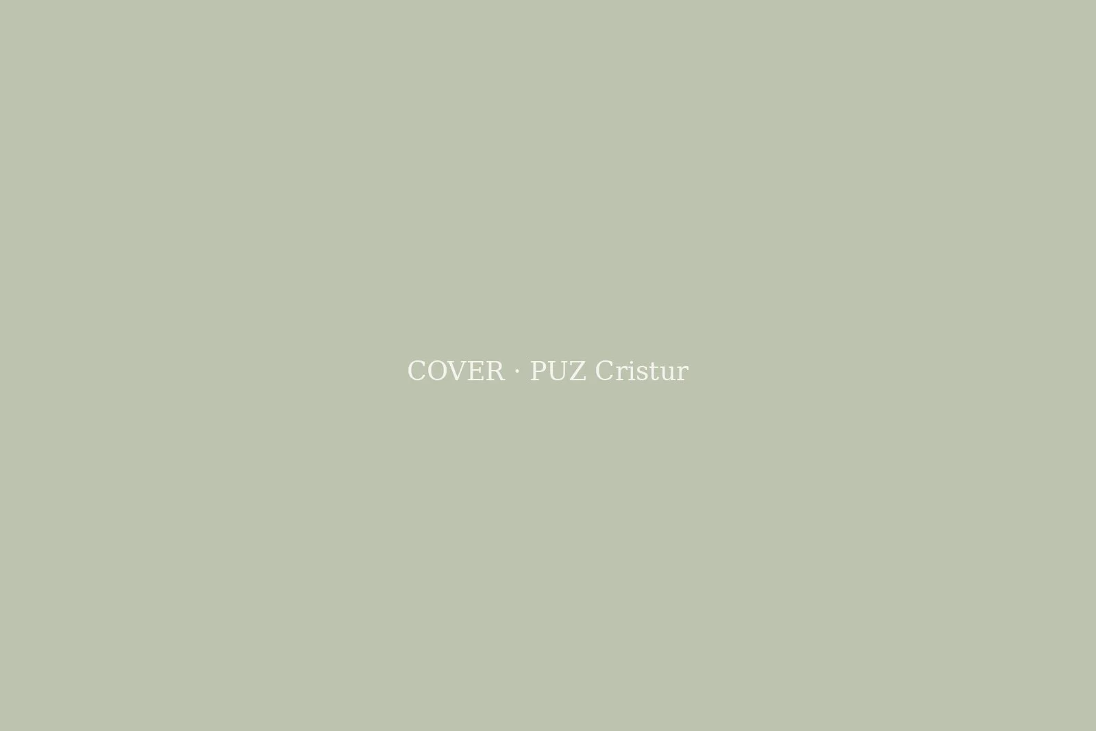 PUZ ansamblu rezidențial, Cristur